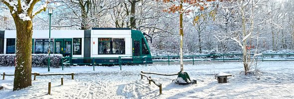 Das Foto zeigt eine Tram in Potsdam, die über den Priesterweg fährt.