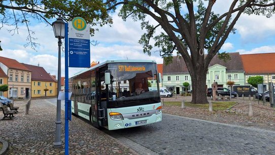 Das Foto zeigt einen Bus im Ort Uebigau an der Haltestelle am Marktplatz.